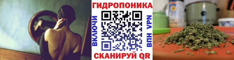 Шишки марихуана Bruce Banner  гидра ТОР  Аргун 